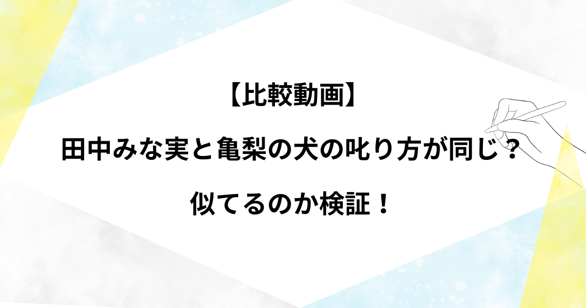 【比較動画】 田中みな実と亀梨の犬の叱り方が同じ？ 似てるのか検証！